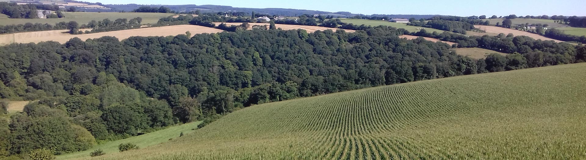 Traitement du lisier -  stattion d'épuration agriculture